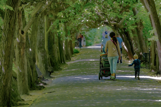 Tragen statt Schieben - Warum immer mehr Eltern auf Babytragen setzen!